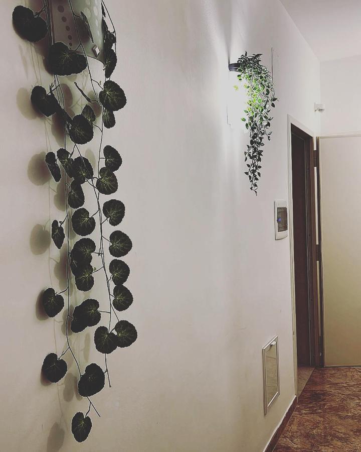 Esperanto B&B Bari Exterior foto